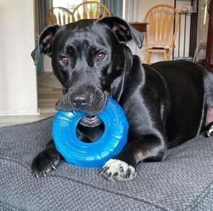 Meet your Posher, Casey